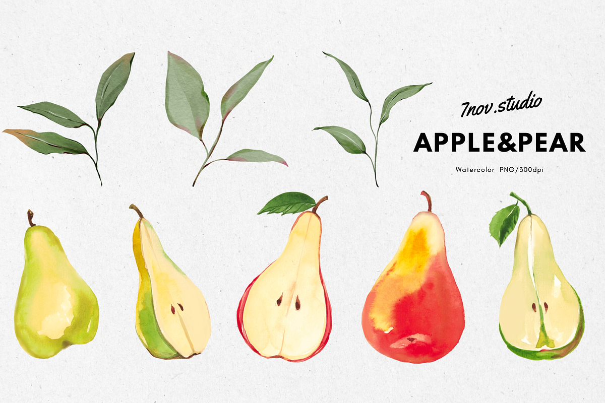Apple&pear watercolor, an Object Illustration by 7nov.studio (Photo 3 of 3)