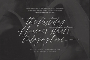 Bella Luna Feminine Script Font