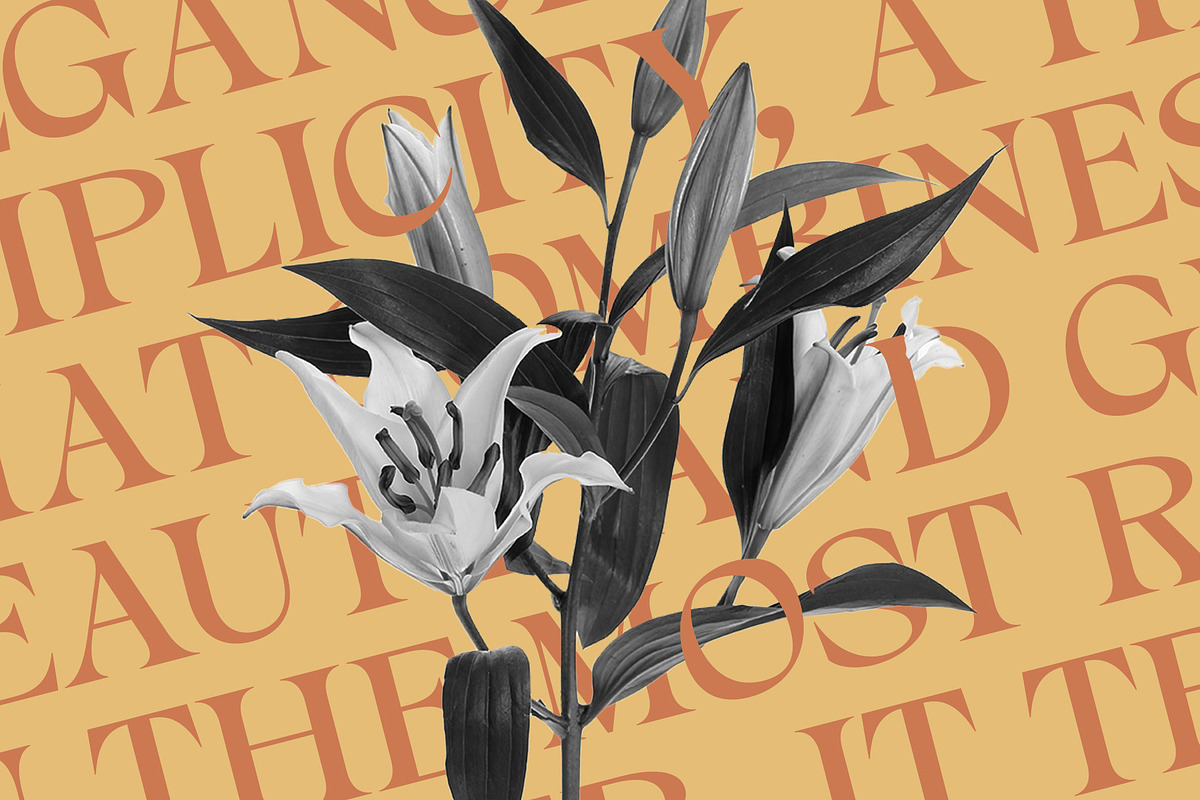 Alvinus – Elegant Font, a Serif Font by Craft Supply Co. (Photo 3 of 8)