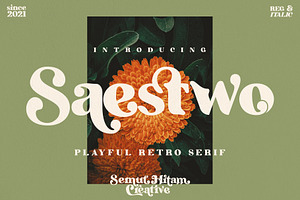 Saestwo - Playful Retro Serif