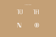 Thennude - Minimal Serif Font, a Serif Font by Iqsiart Studio (Thumbnail 6 of 7)