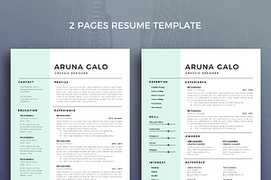 Resume Template 22