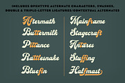 Magnetic Script Font Family, a Script Font by Mysterylab Designs (Thumbnail 5 of 8)