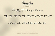 Thrapston - Vintage Script Font, a Script Font by Alpaprana (Thumbnail 11 of 13)