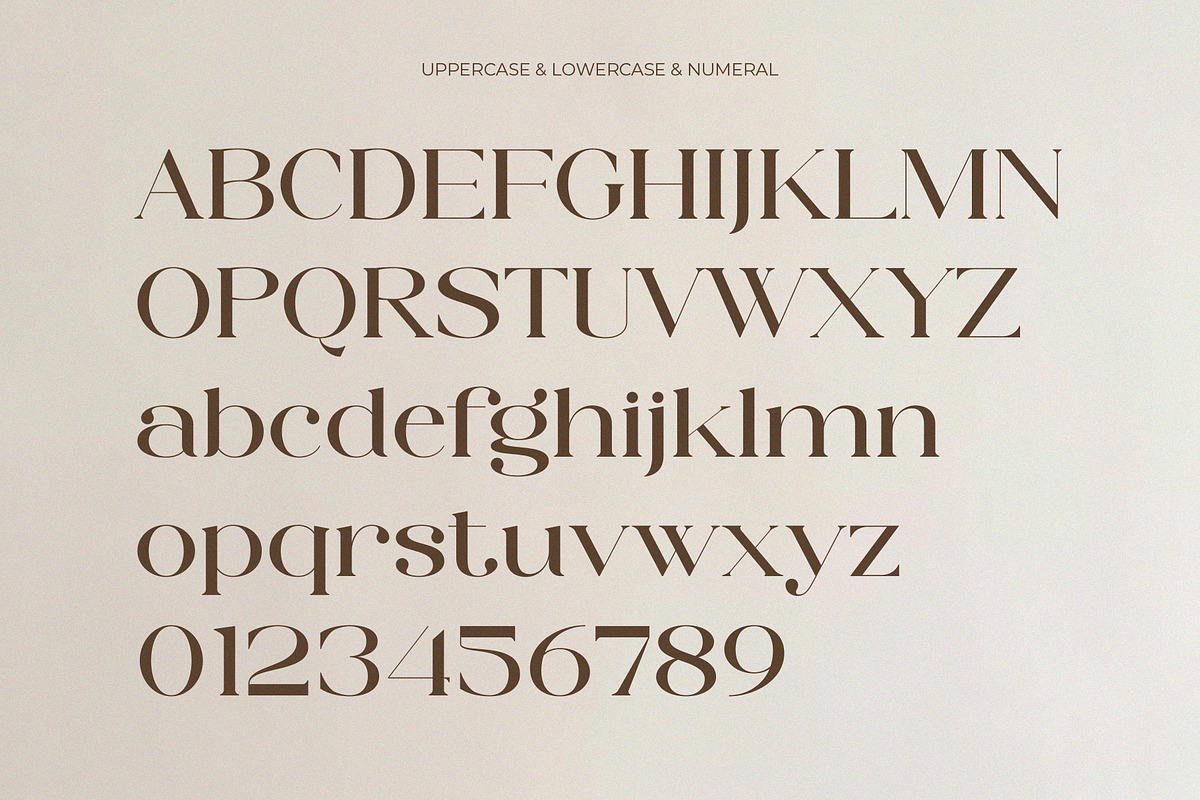 Allore - Modern Unique Serif, a Serif Font by Muflieart (Photo 8 of 10)