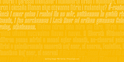 Spitting Image PRO, a Sans Serif Font by preussTYPE (Thumbnail 5 of 9)