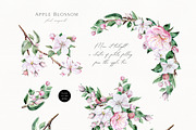 Apple Blossom, a Decorative Illustration by Olga Koelsch (Thumbnail 2 of 9)