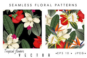 Tropical Flowers. VECTOR