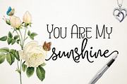 Magenta, a Script Font by Byuly Ayika (Thumbnail 6 of 7)