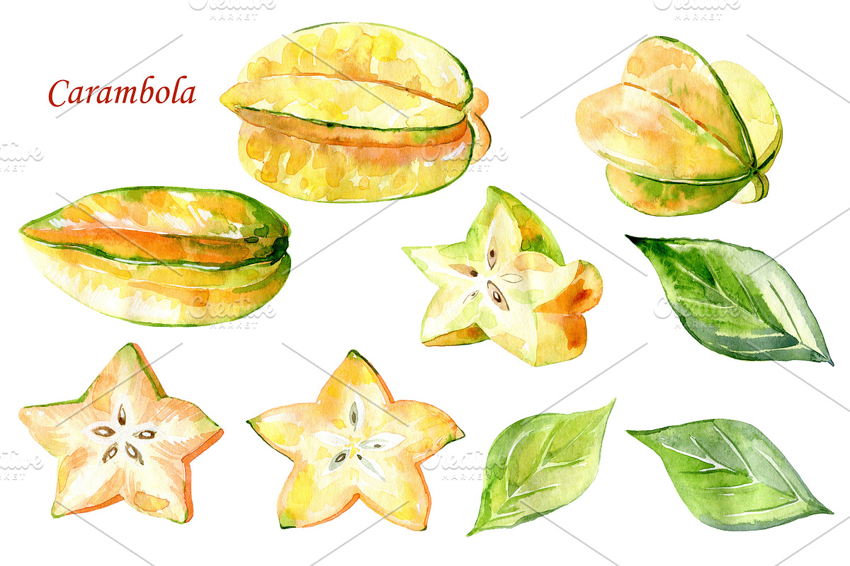 Watercolor tropical fruits., an Illustration by TaPilipa (Photo 8 of 39)