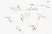 Gypsophila - watercolor flowers, an Object Illustration by ollalya (Thumbnail 4 of 8)