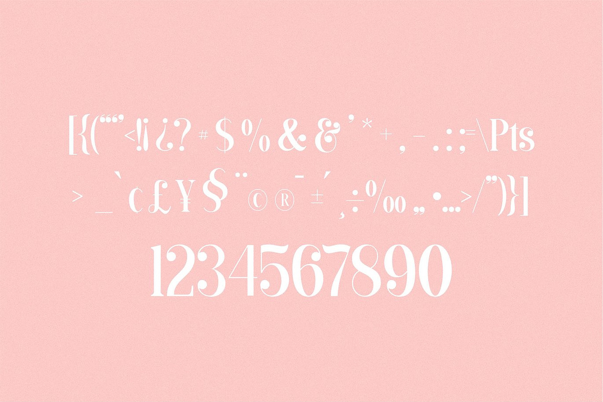 Bachon - Elegant Ligature Serif, a Serif Font by Luna Shop (Photo 5 of 8)