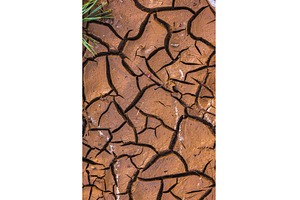 Cracked Earth. An arid landscape