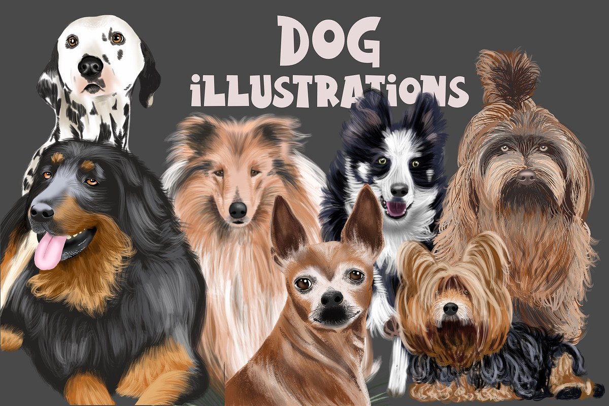 Dog Illustrations - Hand painted, an Animal Illustration by Papaya (Photo 1 of 7)