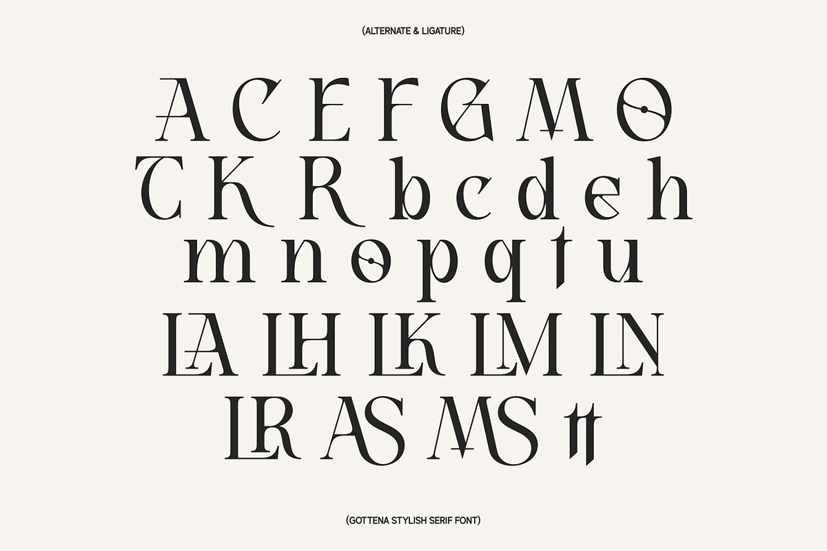 Atteliora Elegant Serif Font, a Serif Font by Heinzel Std (Photo 11 of 13)
