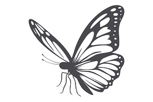 Butterfly, Vector Set.