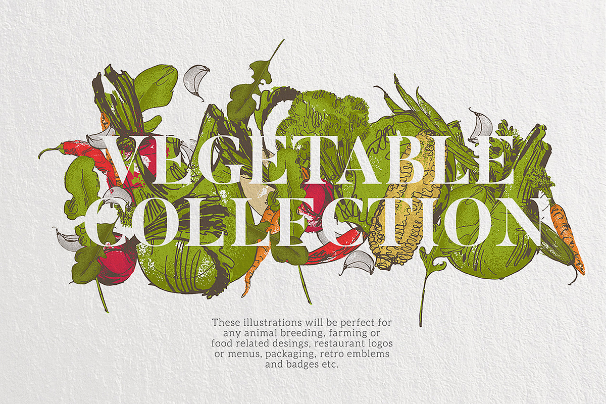Vegetable collection 1, an Object Graphic by Siosay (Photo 4 of 11)