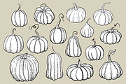 Pumpkins - vector clipart, a Seasonal Illustration by Glass Cat Design (Thumbnail 10 of 10)