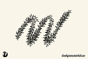 Leaf & Branch Brushes For Procreate, a Brush Add-On by Design Material Co. (Thumbnail 4 of 7)