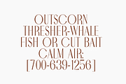 Noctaire - Modern Serif, a Serif Font by Sronstudio (Thumbnail 5 of 18)