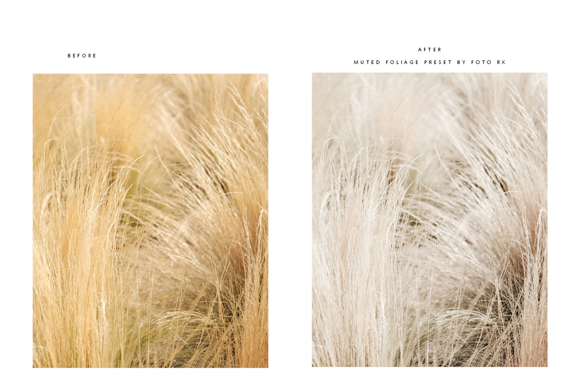 Modern + Moody Lightroom Presets, an Action Add-On by Foto Rx Co. (Photo 13 of 17)