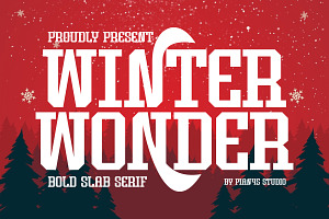 Winter Wonder - Bold Slab Serif