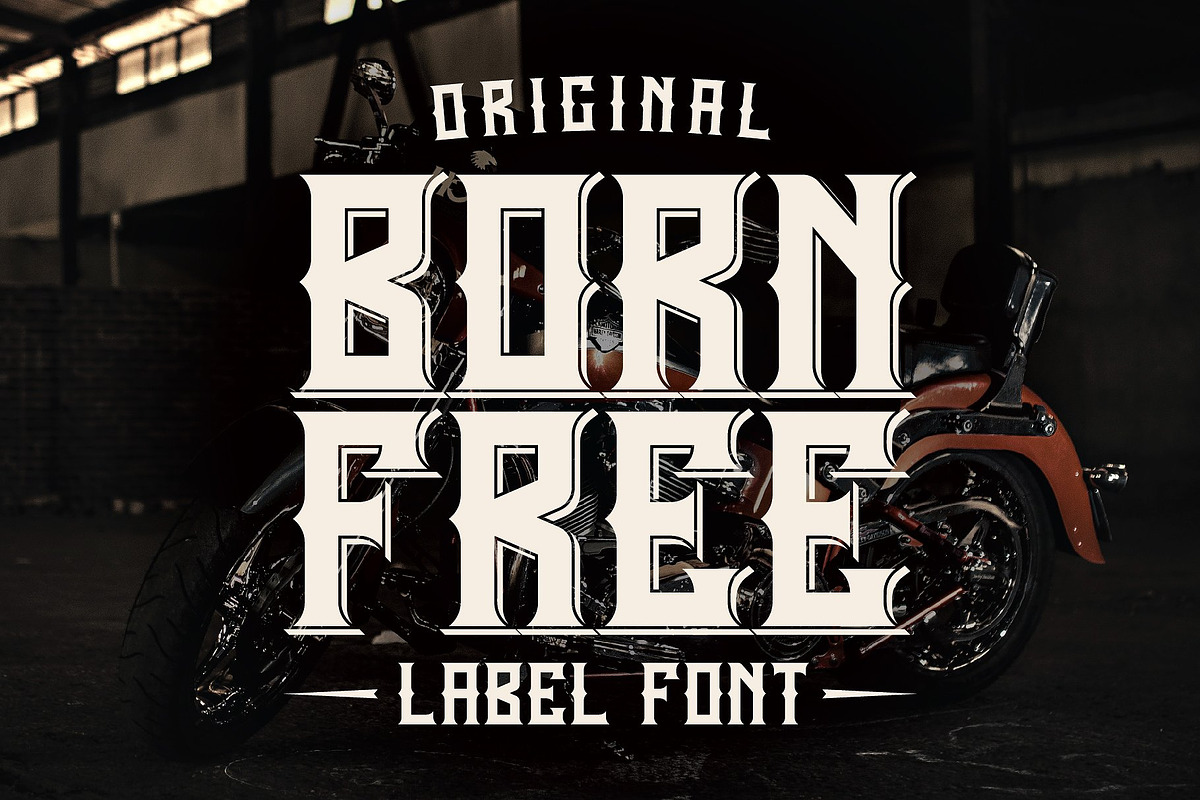 Vintage Fonts Bundle, a Font by VozzyStock (Photo 2 of 29)