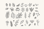 Autumn Doodles & Fall Clipart, a Seasonal Illustration by Oktyabr (Thumbnail 3 of 5)