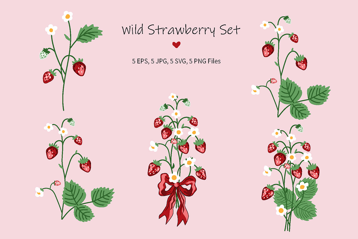 Wild Strawberry Plant Set Drawing, an Object Graphic by Toltemara (Photo 1 of 3)
