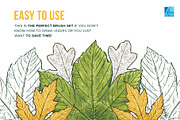 12 Leaf Affinity Stamp Brushes, a Brush Add-On by Riveros Illustration (Thumbnail 5 of 9)