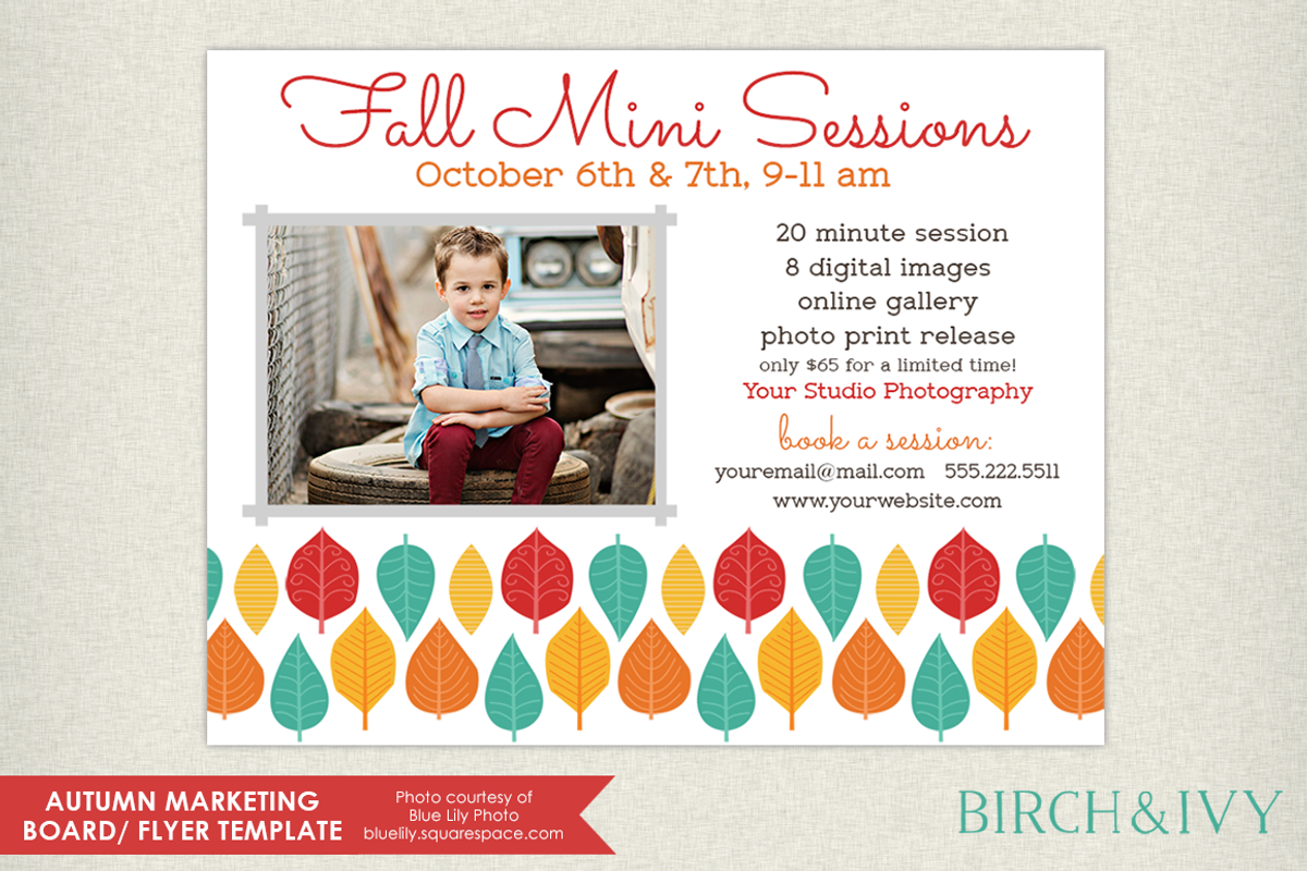 Fall Mini Session/ Flyer Template, a Flyer Template by Birch and Ivy