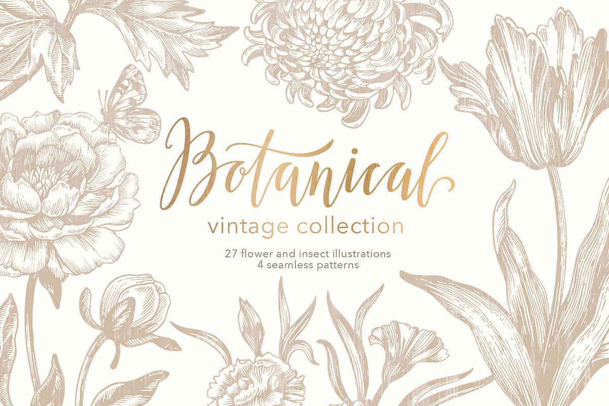 27 Vintage Botanical Illustrations, an Illustration by Anna Smirnova (Photo 1 of 12)