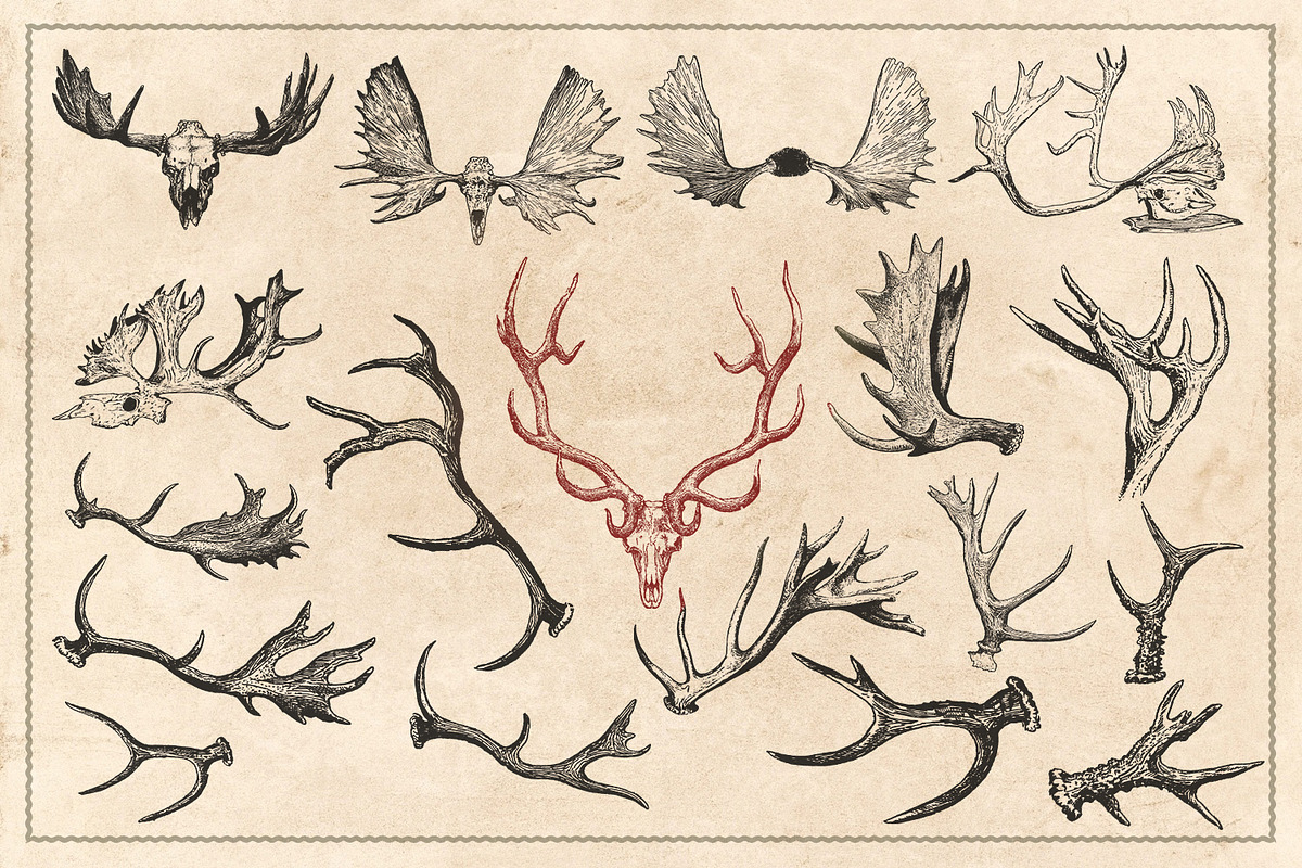 150 Vintage Hunting/Fishing Vectors, an Animal Illustration by Brigantine Designs (Photo 8 of 8)