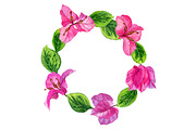 Bougainvillea flowers, a Decorative Illustration by Watercolor life (Thumbnail 4 of 4)