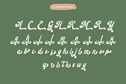 Retro Harmony Font, a Script Font by HansCo Studio (Thumbnail 10 of 11)