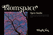 Meagre Display - 90s  Serif Family, a Serif Font by Holyline Design (Thumbnail 6 of 15)