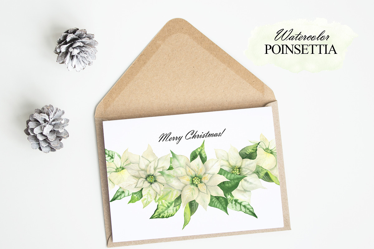 Watercolor white Poinsettia clipart, an Illustration by OlDm_Shop (Photo 5 of 11)