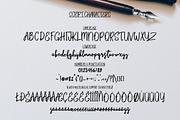 Bikarosta Font Duo with Extras, a Script Font by Maulana Creative (Thumbnail 16 of 17)
