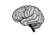 Brain Tree Knowledge Design Bundle, an Illustration by Gaye Art (Thumbnail 29 of 31)