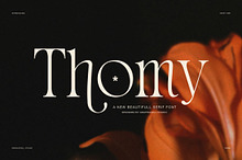 Thomy Elegant Serif Font