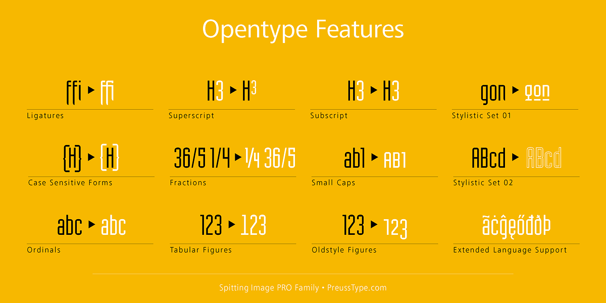 Spitting Image PRO, a Sans Serif Font by preussTYPE (Photo 9 of 9)