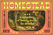 Nomadic - Reverse Display Font, a Handwritten Font by Letterhend Studio (Thumbnail 5 of 9)