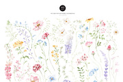 Watercolor Flower -PASTEL WILDFLOWER, a Decorative Illustration by Beigetime (Thumbnail 3 of 15)