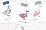 Hand drawn Ducks Illustrations, an Animal Illustration by Greek fonts by nantia.co (Thumbnail 2 of 6)