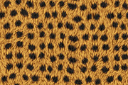 Animal fur textures 2, a Texture Graphic by dotstudio (Thumbnail 7 of 14)