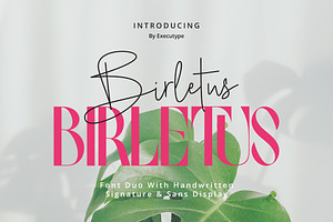 Birletus Display Font duo