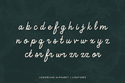 North Shore + Mavericks, a Slab Serif Font by Bruised Goods (Thumbnail 10 of 11)