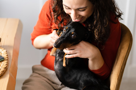 Happy young woman caressing and kissing her dachshund dog, a Person Photo by asife