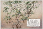 Fresco collectionMajestic Branches, a Wallpaper Graphic by Natalia0307 (Thumbnail 1 of 14)