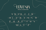 Luvenia sans serif modern, a Sans Serif Font by Missingfont.std (Thumbnail 3 of 12)